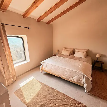 Mimosa 4*