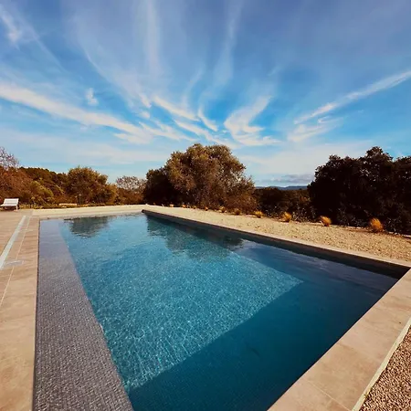 Mimosa Отель типа 