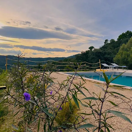 Mimosa Bed & Breakfast 4*