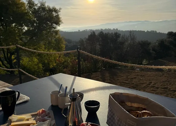 Mimosa Bed & Breakfast 4*