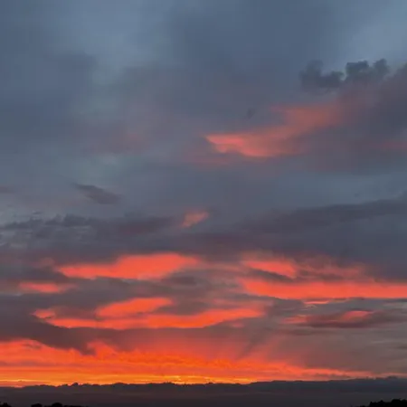 Oda ve Kahvaltı Mimosa