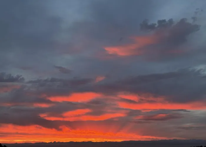 Oda ve Kahvaltı Mimosa